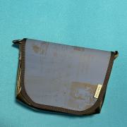 Tasche Chamäleon mini - Druckvorlage.